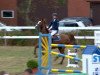 jumper Kaschinsky (German Sport Horse, 0000, from Kaiserwind)