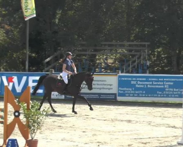 broodmare Quietly (Oldenburg, 2008, from Coupe de Coeur 2)