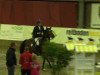 jumper Vip 22 (KWPN (Royal Dutch Sporthorse), 0000, from Ovidius)