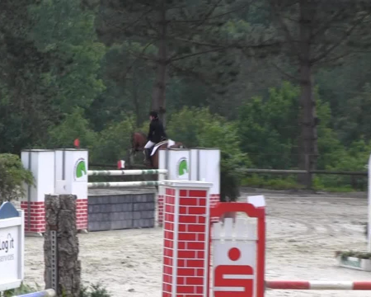 jumper Cat Balou T (Westphalian, 2003, from Cordobes I)