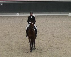 dressage horse La Masita L (Rhinelander, 2009, from Lord Loxley I)