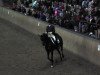 dressage horse Rose Response (Hanoverian, 2004, from Rotspon)