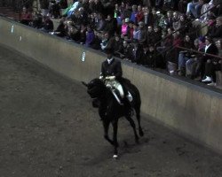 dressage horse Rose Response (Hanoverian, 2004, from Rotspon)