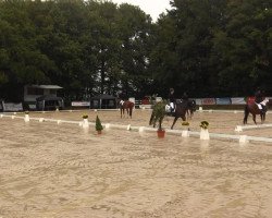 dressage horse Happiness 24 (Polish Warmblood, 2003)