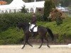 dressage horse Flambeau 127 (Westphalian, 2006, from Floresco NRW)