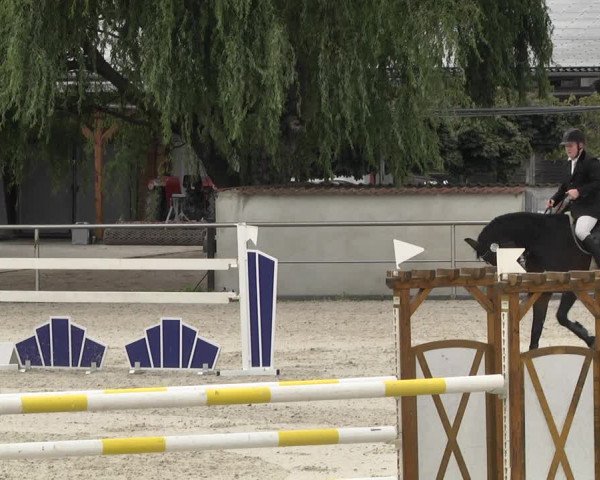 Reitturnier Achern 2020