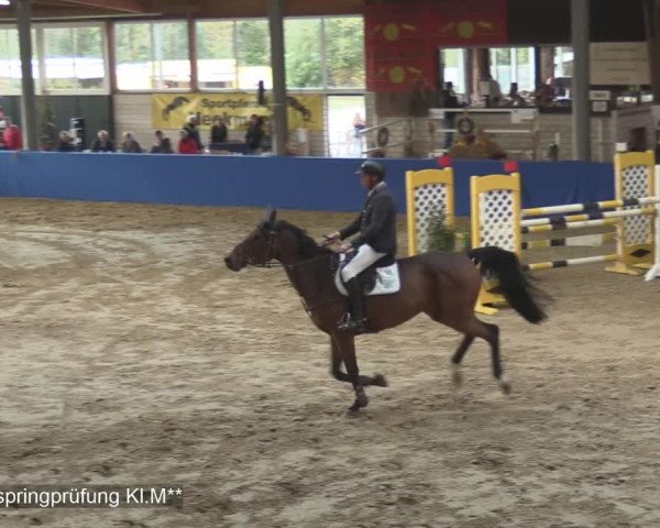 Reitturnier Isterberg 2020