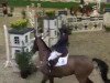 jumper Avion Concorde (KWPN (Royal Dutch Sporthorse), 2005, from Kojak)