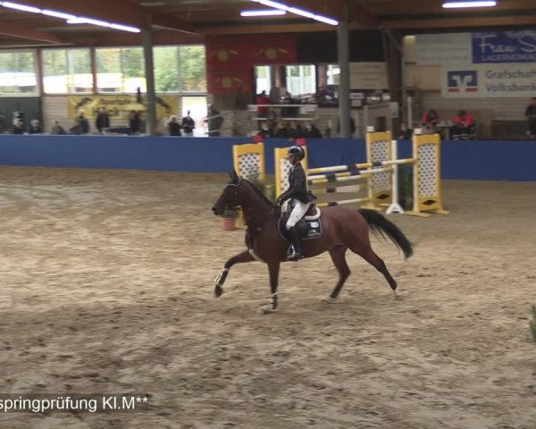 Reitturnier Isterberg 2020