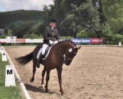 dressage horse Lexus R (Oldenburg, 2009, from Louis de Funes 4)