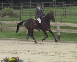 jumper Fit for Action (Hanoverian, 2008, from For Edition)