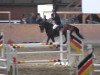 jumper Small Edition (Hanoverian, 2007, from Stand Up 2)