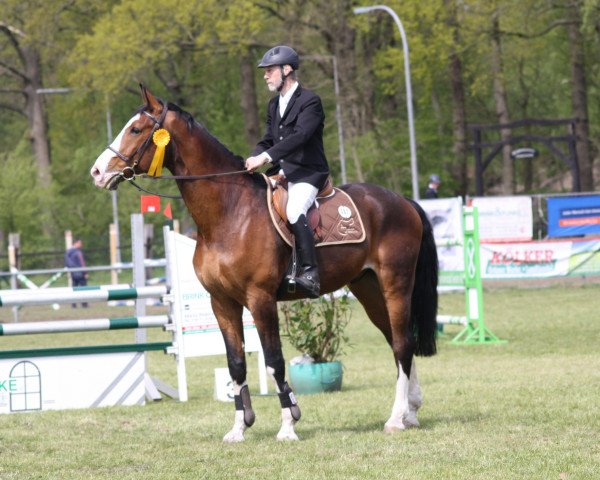 jumper Exotic Diamond (Hanoverian, 2003, from El Bundy)