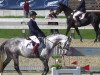 jumper Rimini 77 (German Sport Horse, 2008, from Rich Charly I)