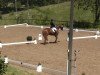 dressage horse Jim Knopf 121 (Rhinelander, 2008, from Jazz Rubin)