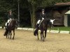 dressage horse Ronja Räubertochter K (Westphalian, 2000, from Rheingau)