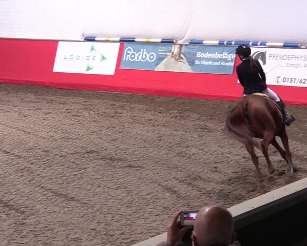 Reitturnier Salzkotten 2020