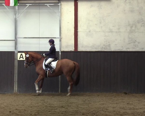 Reitturnier St. Peter Ording 2020