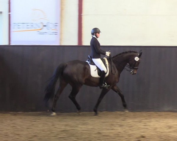 Reitturnier St. Peter Ording 2020