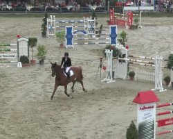 jumper Bengel (KWPN (Royal Dutch Sporthorse), 2006, from Jupilot)