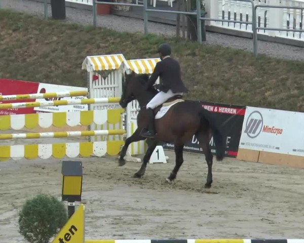 jumper Constant (KWPN (Royal Dutch Sporthorse), 2007)