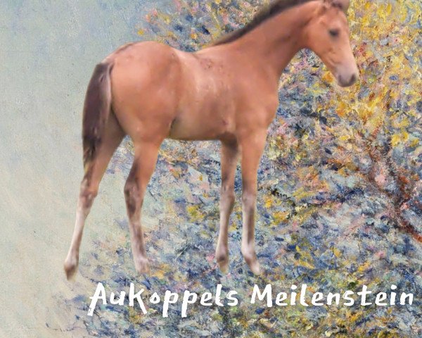 dressage horse Aukoppels Meilenstein (German Riding Pony, 2021, from Hesselteichs Movie Maker)