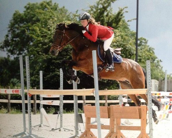 jumper Kevrin ar Crano (Connemara Pony, 1998, from Ready IV)