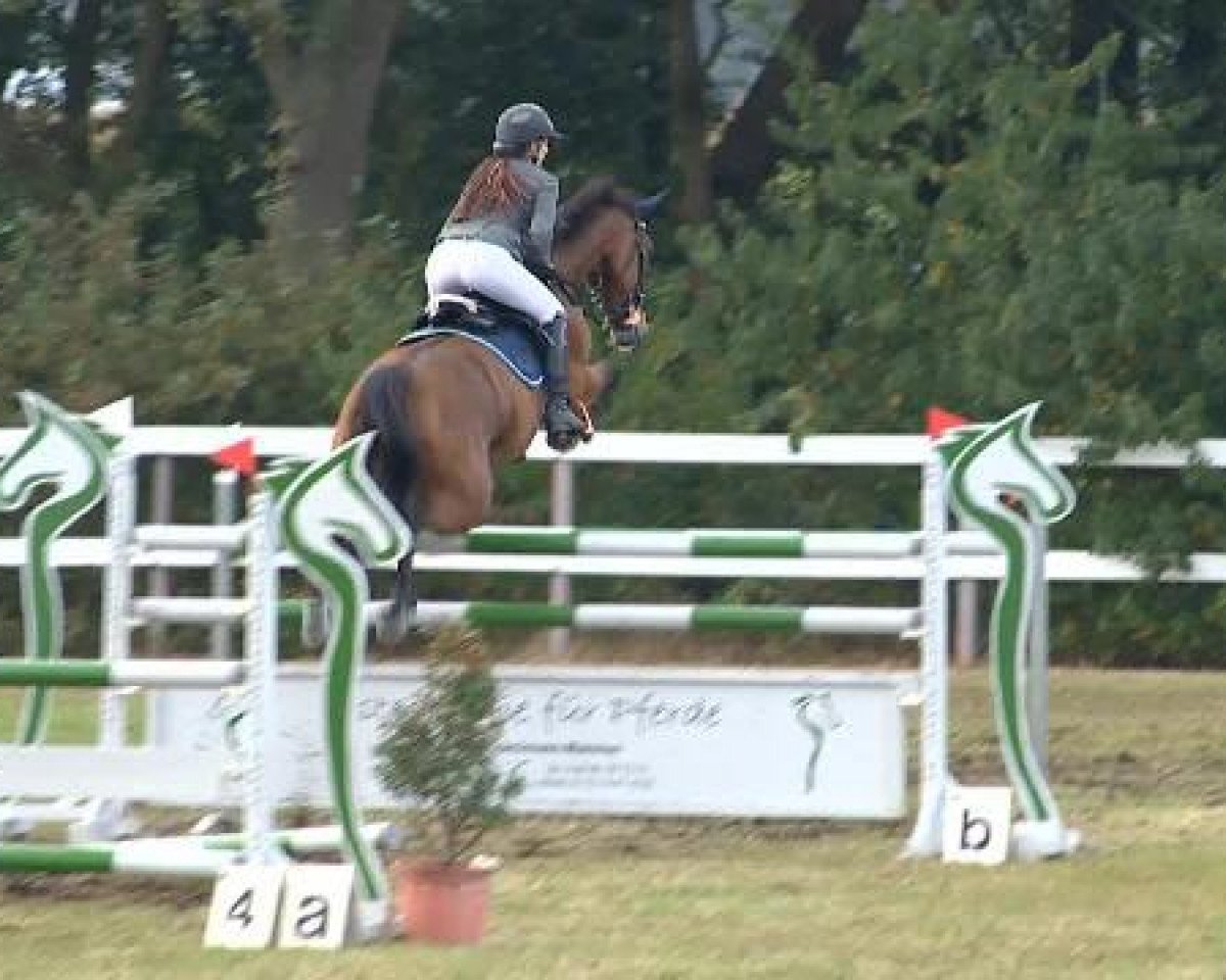 broodmare Check Girl (Oldenburg, 2008, from Check In 2)