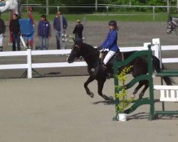 broodmare Zara 103 (Oldenburg show jumper, 2004, from Zatinus)