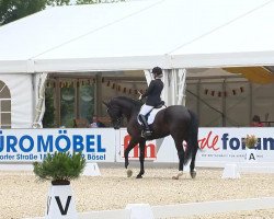 dressage horse Fidelio 288 (Oldenburg, 2009, from Farewell III)