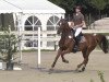 broodmare Callgirl 11 (Oldenburg show jumper, 2007, from Calvaro Z)