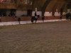 dressage horse Daylights Hope (Oldenburg, 2010, from Glock's Romanov)