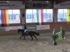 jumper Quidandro (Hanoverian, 2008, from Quality 9)