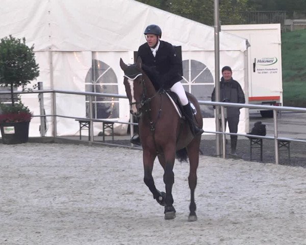 Reitturnier Achern 2020