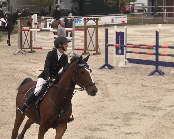 Reitturnier Achern 2020