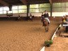 dressage horse Saina (unknown,  )