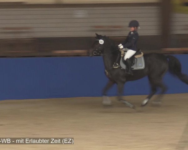 Reitturnier Isterberg 2020
