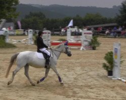 dressage horse Lafee (Hessian Warmblood, 2005, from Lion)