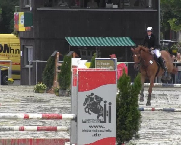 jumper Royal Rubin 10 (Hanoverian, 2002, from Radiator)