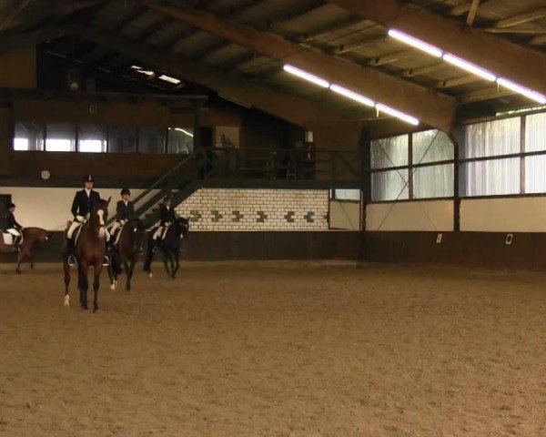 dressage horse Lubaya 8 (Hanoverian,  , from Londonderry)