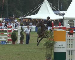 Springpferd Cartown Danger Mouse (Irish Sport Horse, 2006, von Olympic Lux)