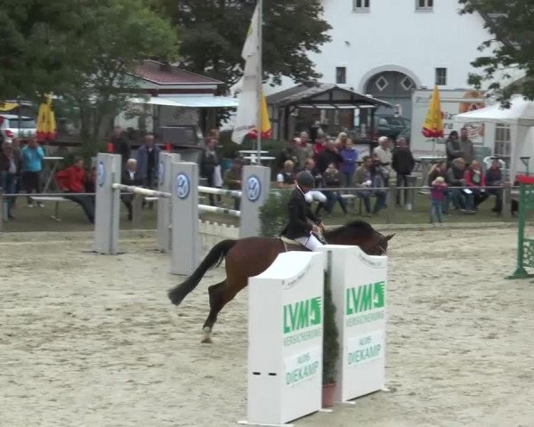 horse Marcepan (Polish Warmblood, 2002, from Correro)