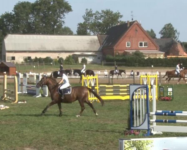 horse Flicka HR (German Warmblood, 2002, from Pilox)