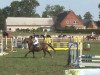 horse Flicka HR (German Warmblood, 2002, from Pilox)