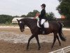 dressage horse Da Capo 208 (unknown,  )