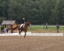 dressage horse Freixenet N. (Hanoverian, 1999, from Federweisser)