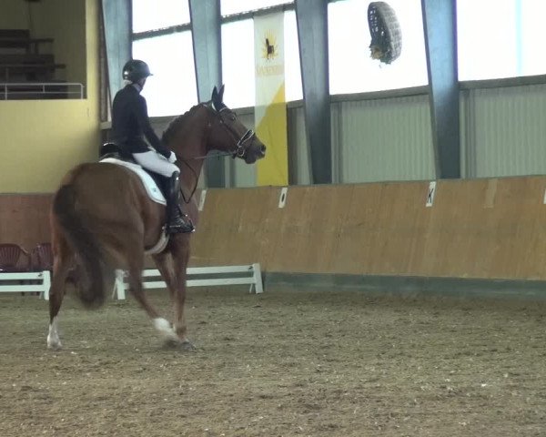 Reitturnier Frechen-Grefrath - Sonnenhof 2020