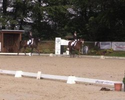 dressage horse Fuerst Royal P (Westphalian, 2007, from First Final)