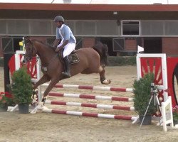 jumper Dutch Leonalda Z (KWPN (Royal Dutch Sporthorse), 2008)