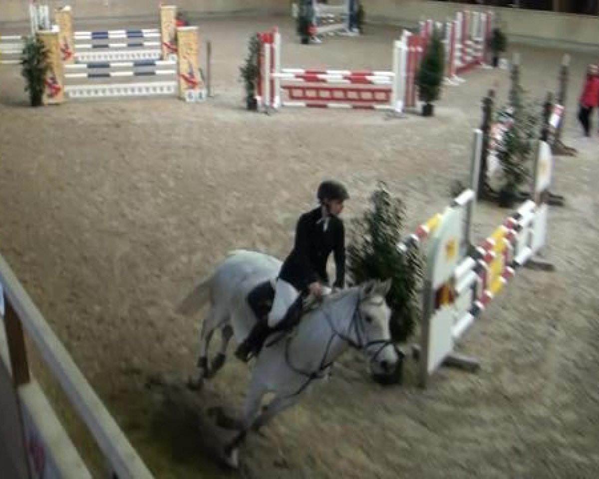 jumper Carrara-San (Zweibrücken, 2008, from Cassini II)